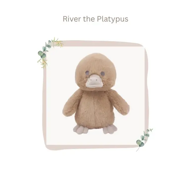 Petite Vous Petite Vous River the Platypus