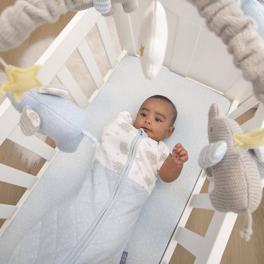 Living Textiles Living Textiles 2-pack Jersey Bassinet Fitted Sheet (40 x 80 x 12cm) - Mason/Confetti