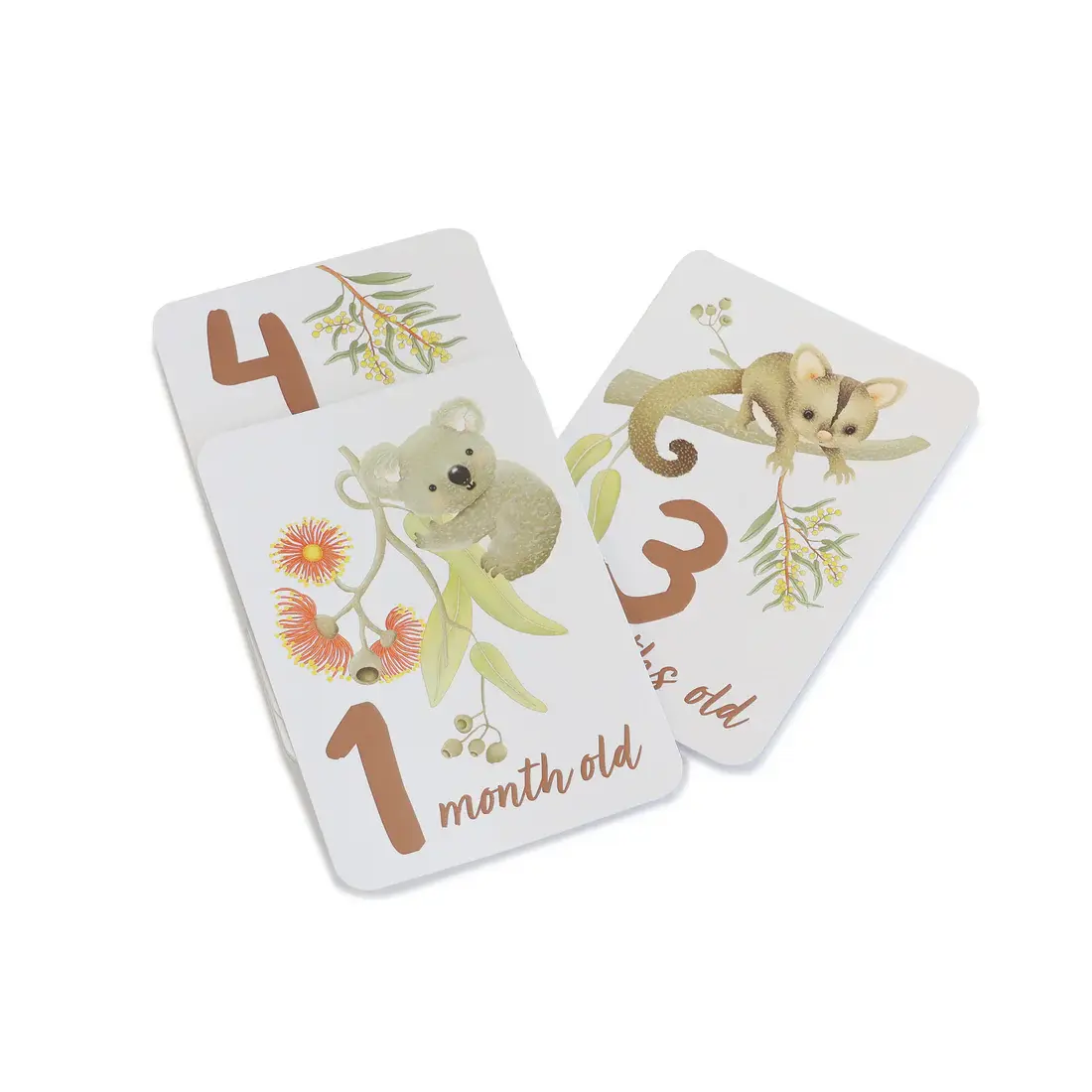 Bubba Blue Bubba Blue Aussie Animals Hello World Gift Set