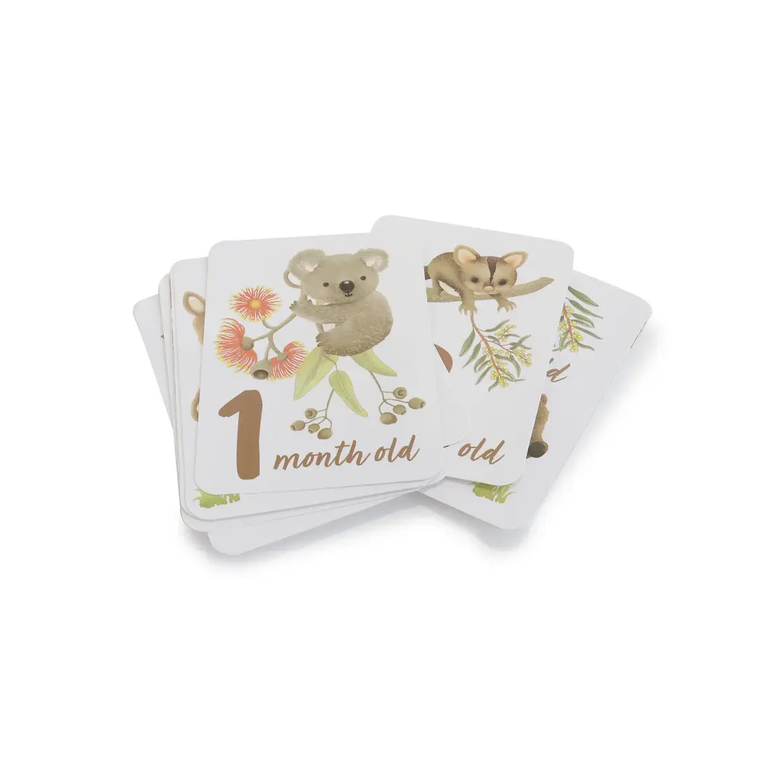 Bubba Blue Bubba Blue Aussie Animals Hello World Gift Set