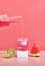 Hydramama Hydramama Mini + Me Watermelon + Lime