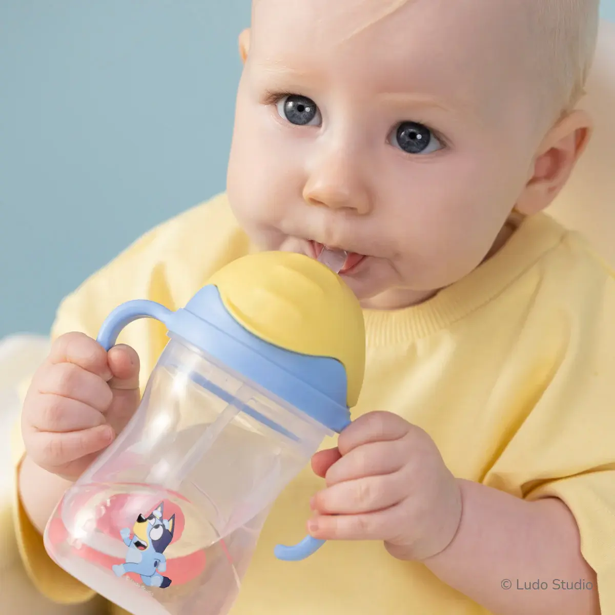 B.Box b.box Sippy Cup - Bluey