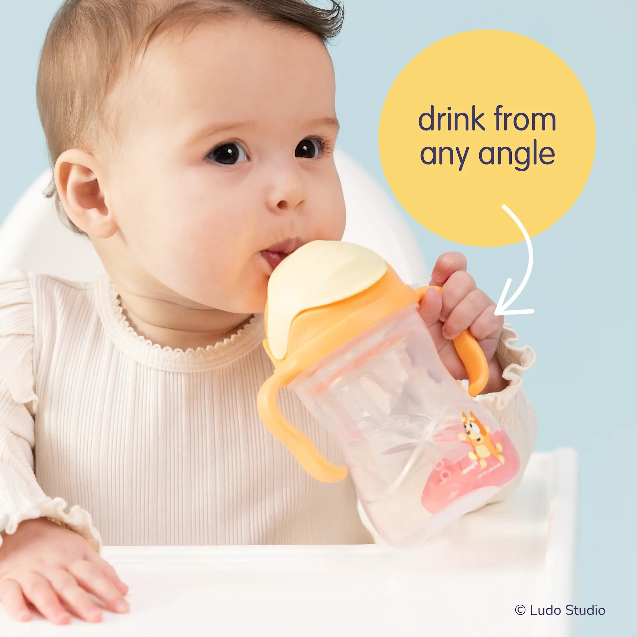 B.Box b.box Sippy Cup - Bingo