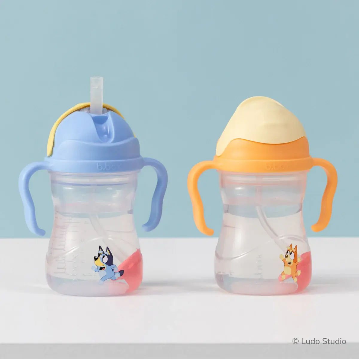 B.Box b.box Sippy Cup - Bingo