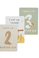 Living Textiles Living Textiles Milestone Cards