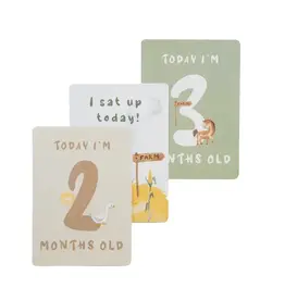 Living Textiles Living Textiles Milestone Cards