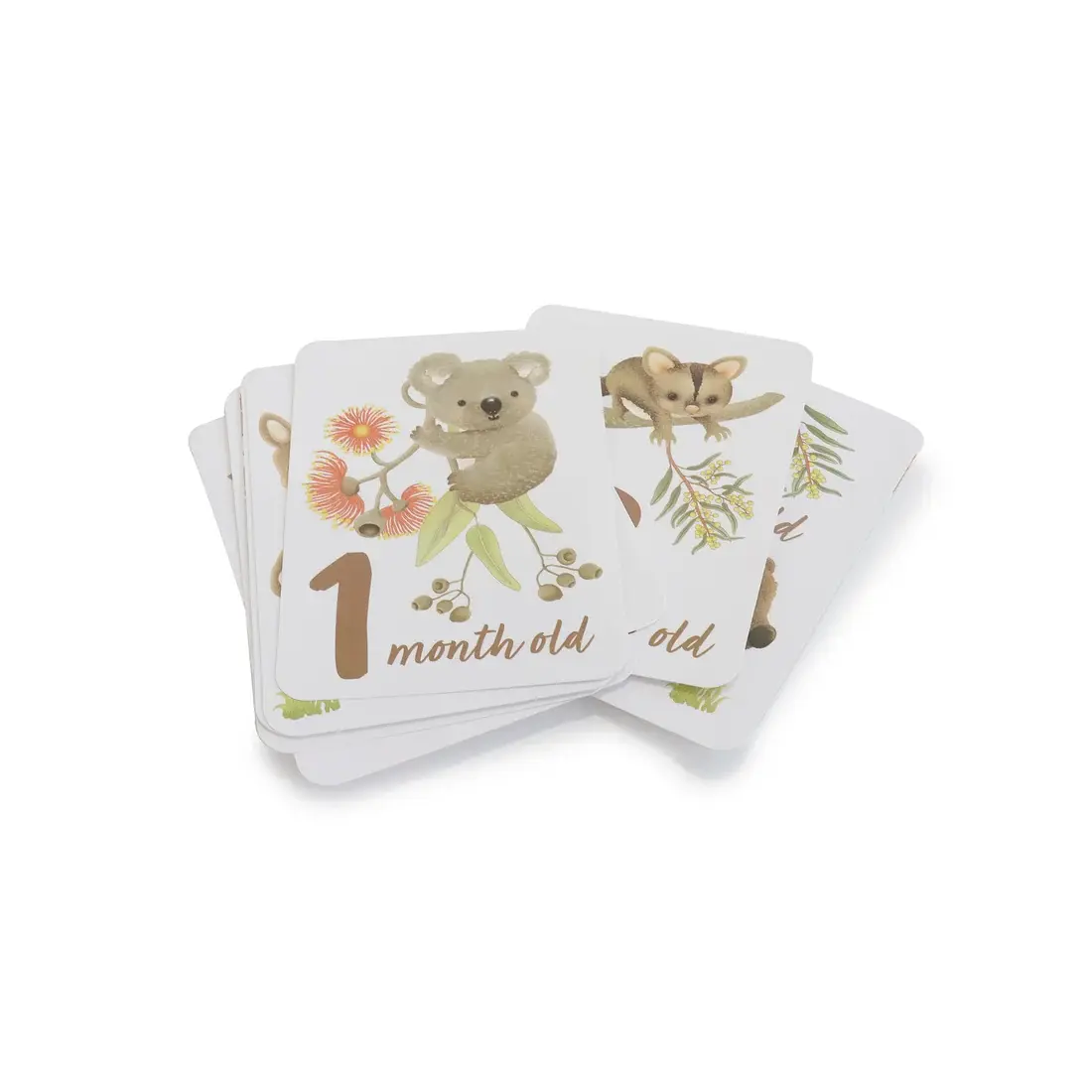 Bubba Blue Bubba Blue Aussie Animals Hello World Gift Set