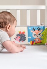 Benbat Benbat Dazzle Double Sided Baby Book
