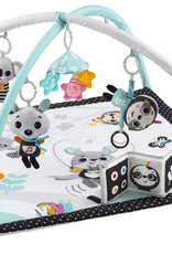 Benbat Benbat Dazzle Music & fun Activity Gym- 0 Months + Kangaroo & friends