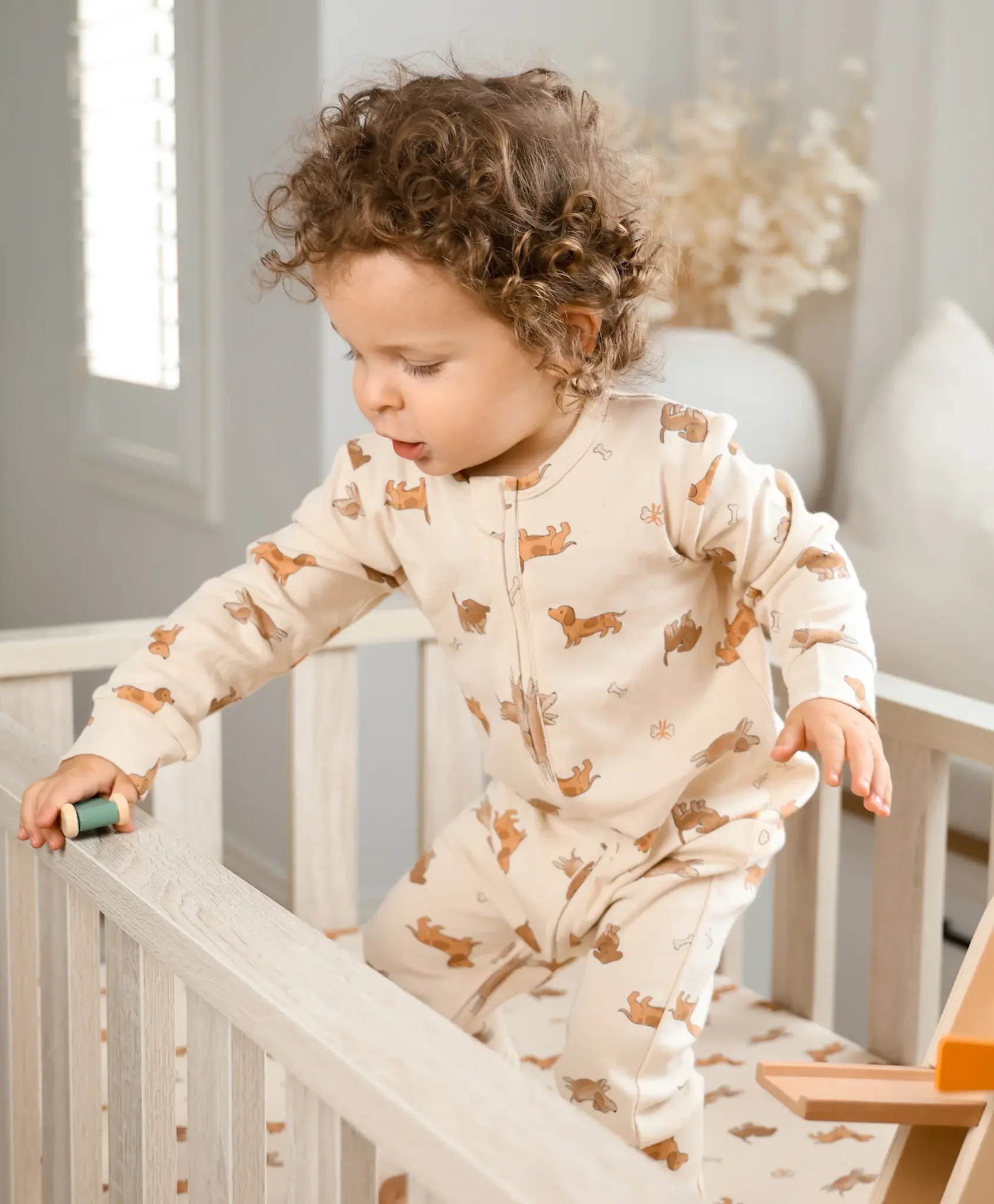 Lummi in Colour Lummi in Colour Organic Cotton Growsuit - Dachshund Dog