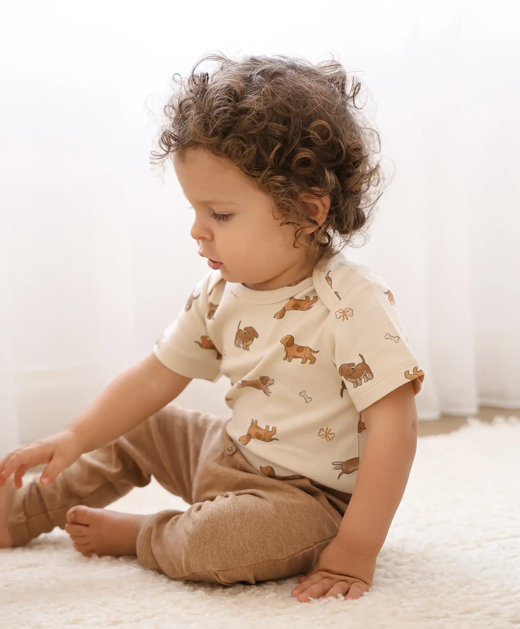 Lummi in Colour Lummi in Colour Organic Cotton Short Sleeve Bodysuit - Dachshunds