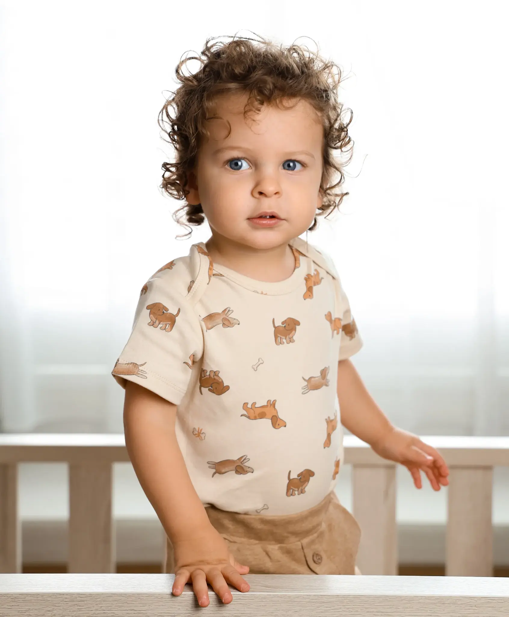 Lummi in Colour Lummi in Colour Organic Cotton Short Sleeve Bodysuit - Dachshunds