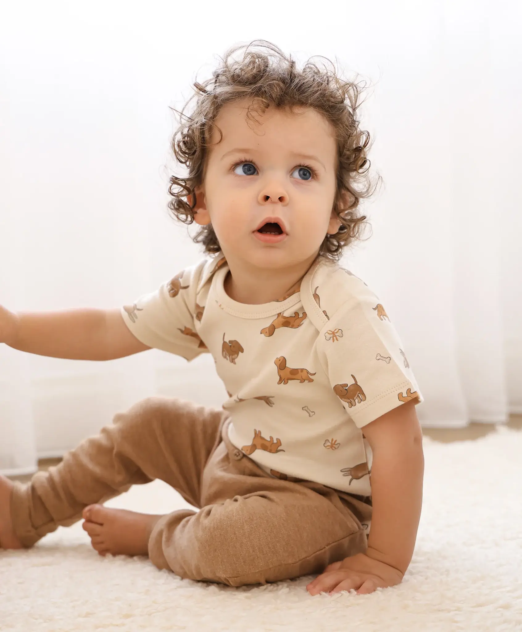 Lummi in Colour Lummi in Colour Organic Cotton Short Sleeve Bodysuit - Dachshunds