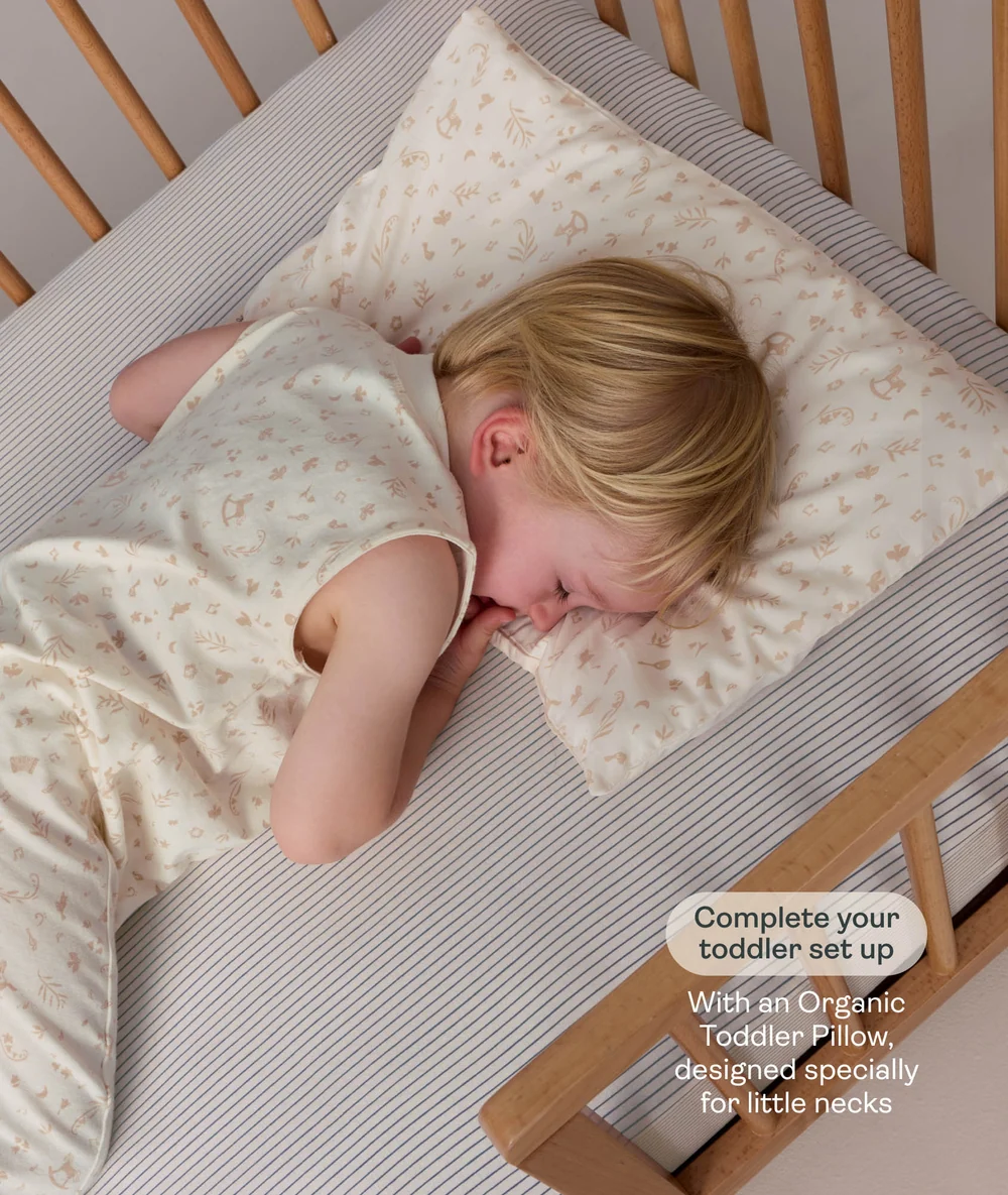 ErgoPouch ErgoPouch Jersey Sleep Suit Bag 0.2 TOG Lullaby