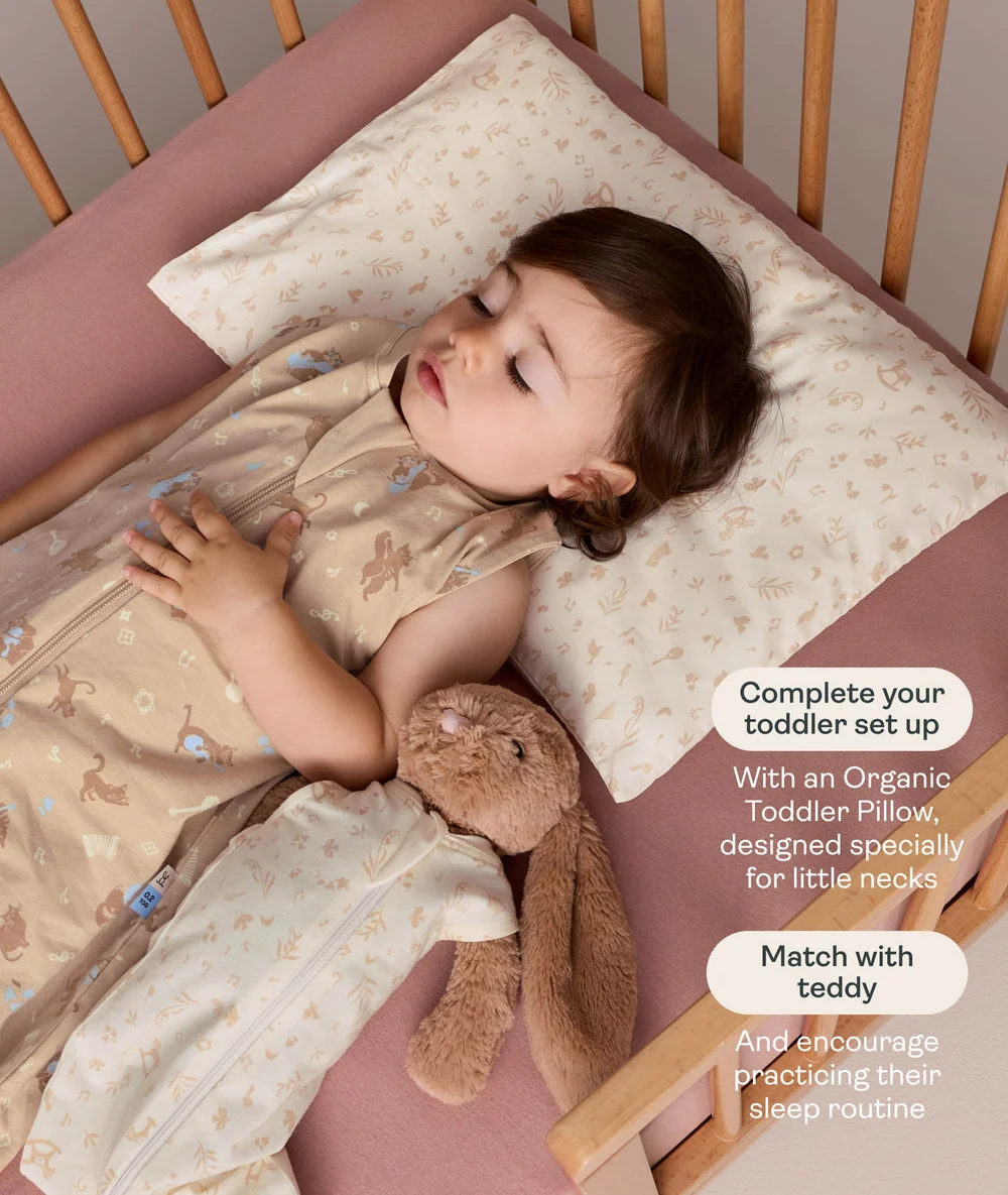 ErgoPouch ErgoPouch Jersey Sleep Suit Bag 0.2 TOG Melody