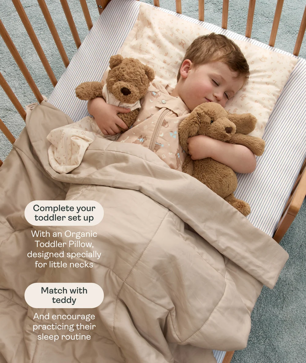ErgoPouch ErgoPouch Sleep Suit Bag 1.0 TOG Melody