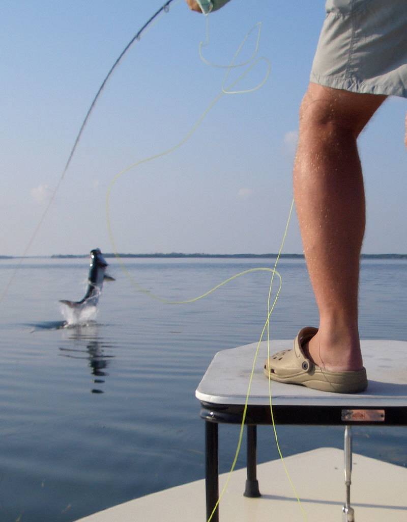 flats fishing florida keys