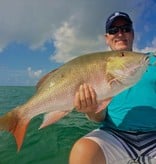 Guided Inshore & Bay Fishing (Half Day)