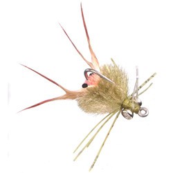 Kung Fu Crab WG
