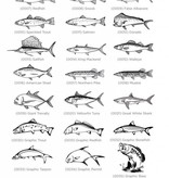 M-Clip Brushed Stainless