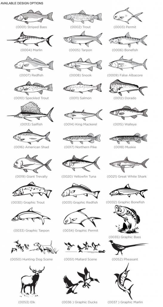 M-Clip Brushed Stainless