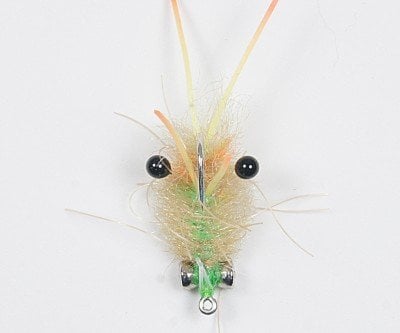 EP Ascension Bay Crab