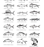 M-Clip Brushed Stainless