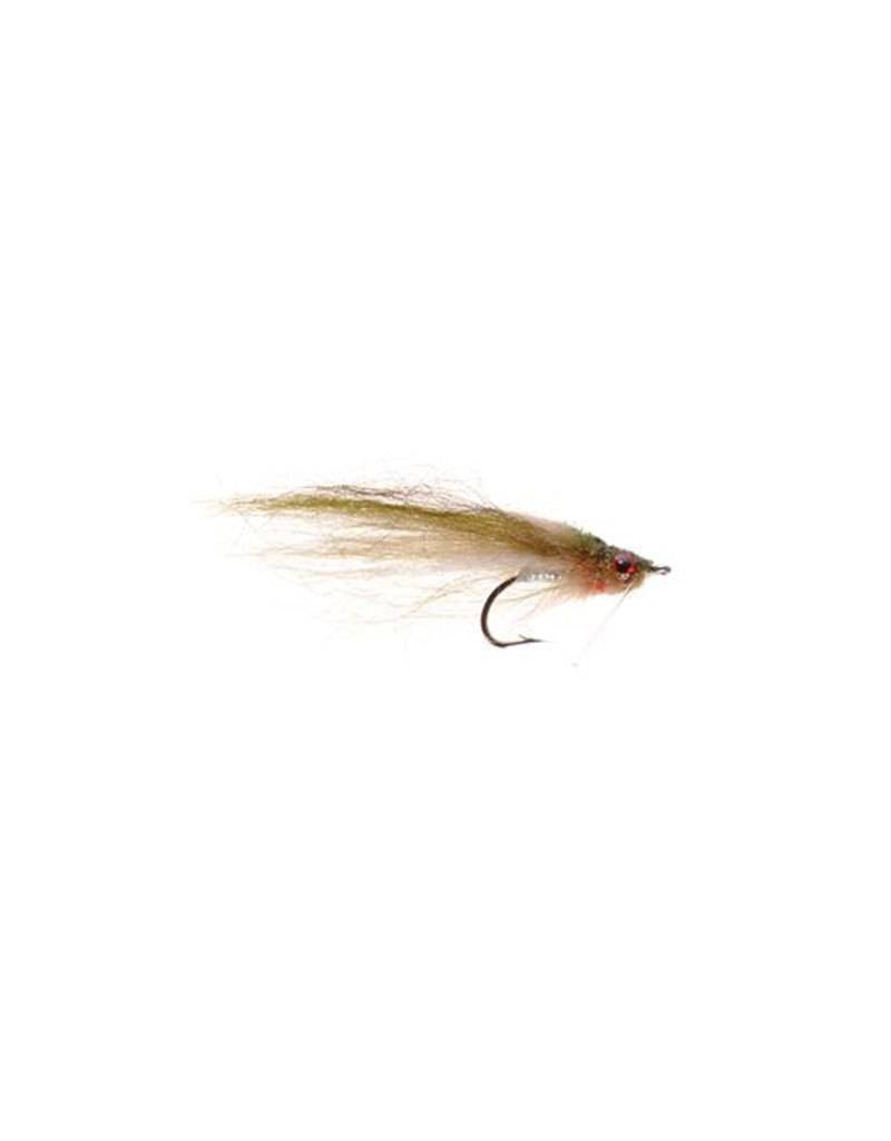 Glades Minnow, Conner