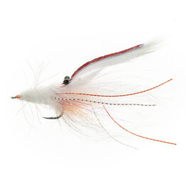 EP SP Camarones