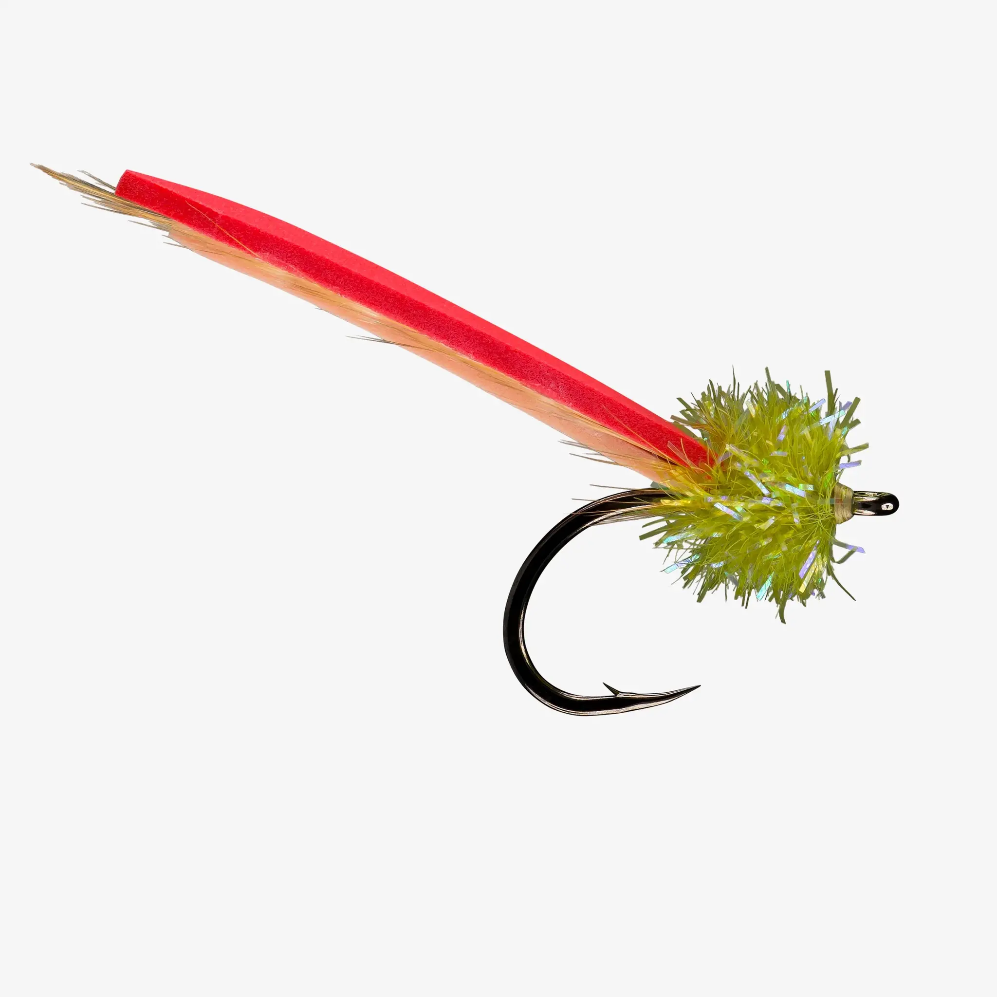 Rio Palolo Worm