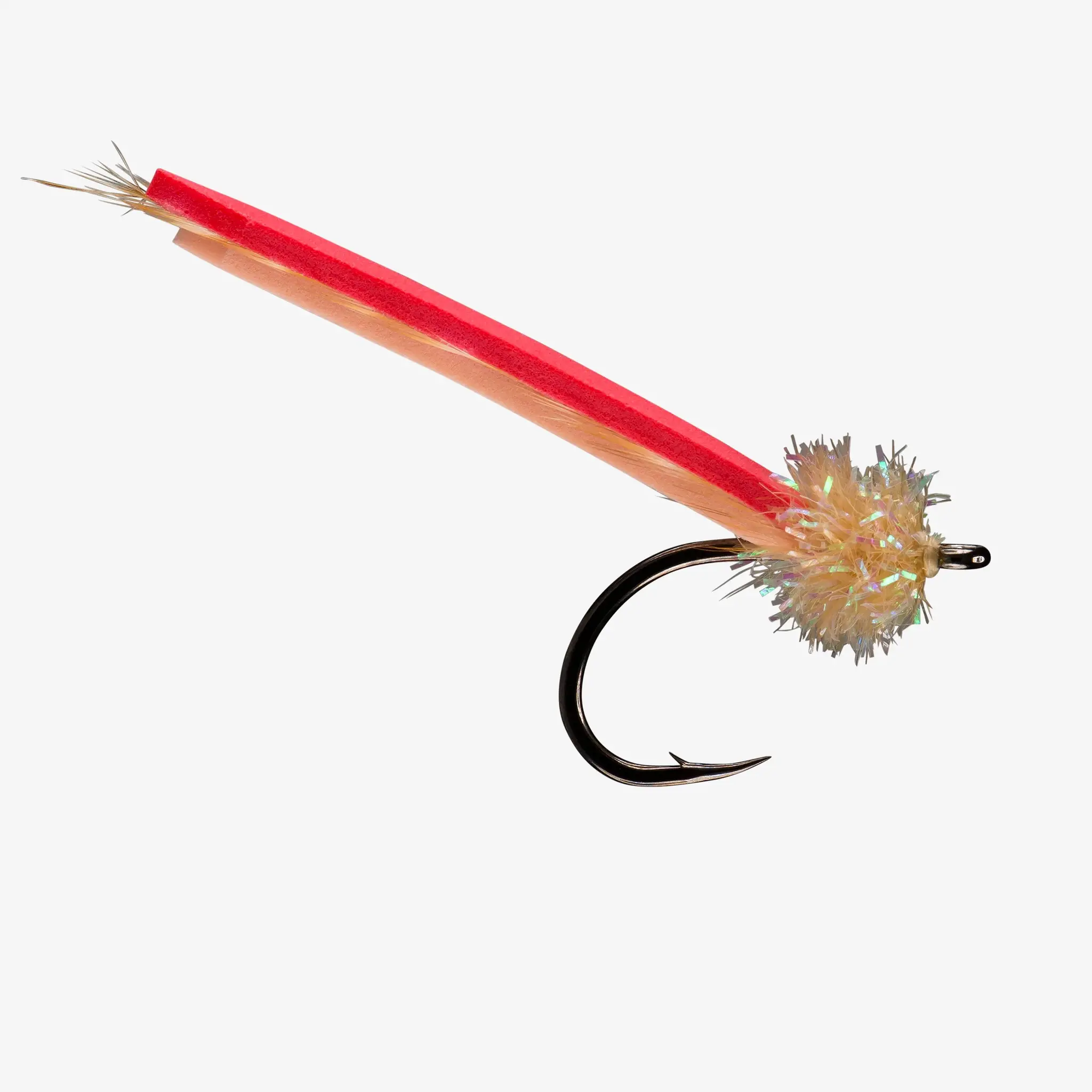 Rio Palolo Worm