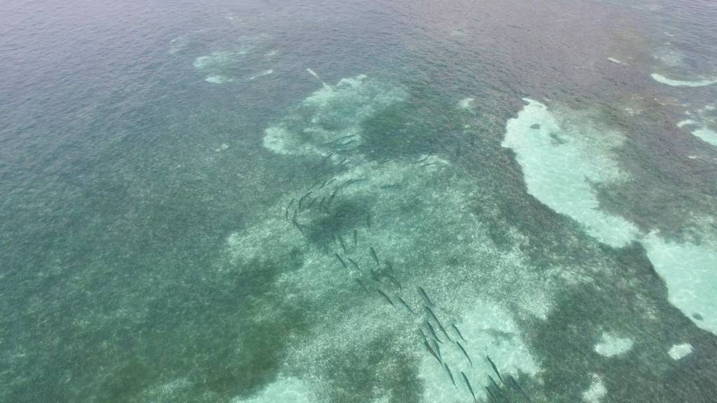 Florida Keys Outfitters — fishing photo 3