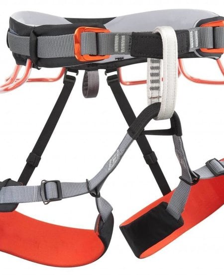 Momentum Harness