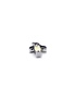 Realistic Penguin Charm