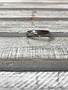 Stainless Steel Plain Wedding Band, Size 6
