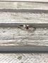 Stainless Steel Ring with Red and White Cubic Zirconia Stone, Size 9