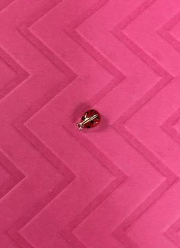 Ladybug Floating Charm