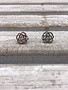Stainless Steel Silver Rose Blossom Earrings