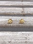 Stainless Steel Gold Shamrock Earring