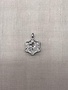 Forever Crystal Silver Clear Crystal Edelweiss Charm