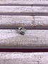 Stainless Steel Arrow Ring