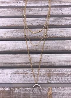 Gold Layered Horn Necklace
