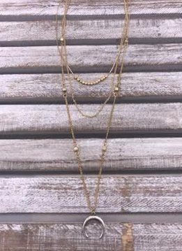 Gold Layered Horn Necklace