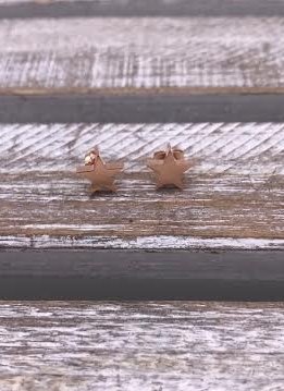 Stainless Steel Rose Gold Star Stud Earring