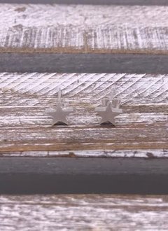 Stainless Steel Silver Star Stud Earring