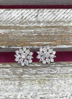 Cubic Zirconia Floral Design Earrings