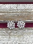 Cubic Zirconia Floral Design Earrings