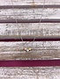Sterling Silver Necklace with a Gold, Silver, and Rose Gold Star