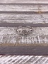 Sterling Silver Flower with Weave Toe Ring