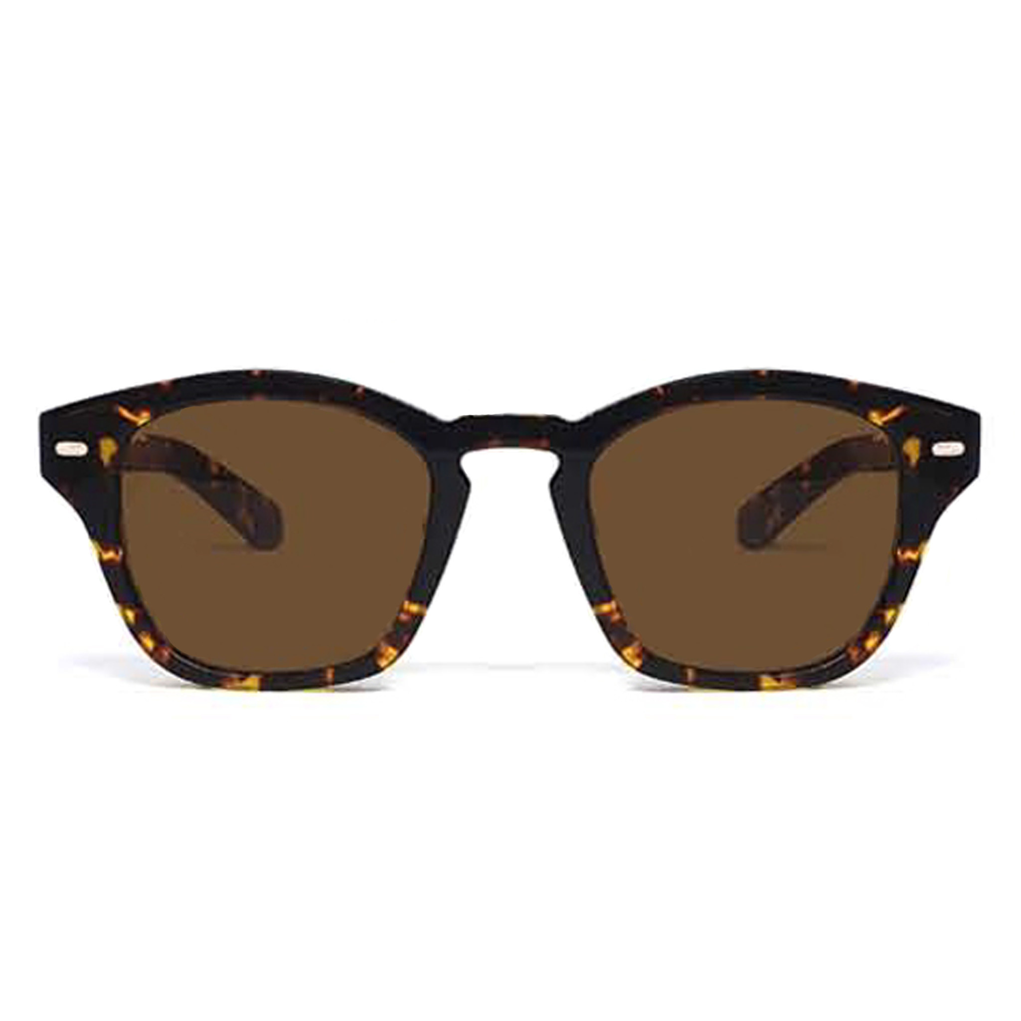 Spitfire Spitfire 42 Cut Forty Two - Dark Tortoise/Brown